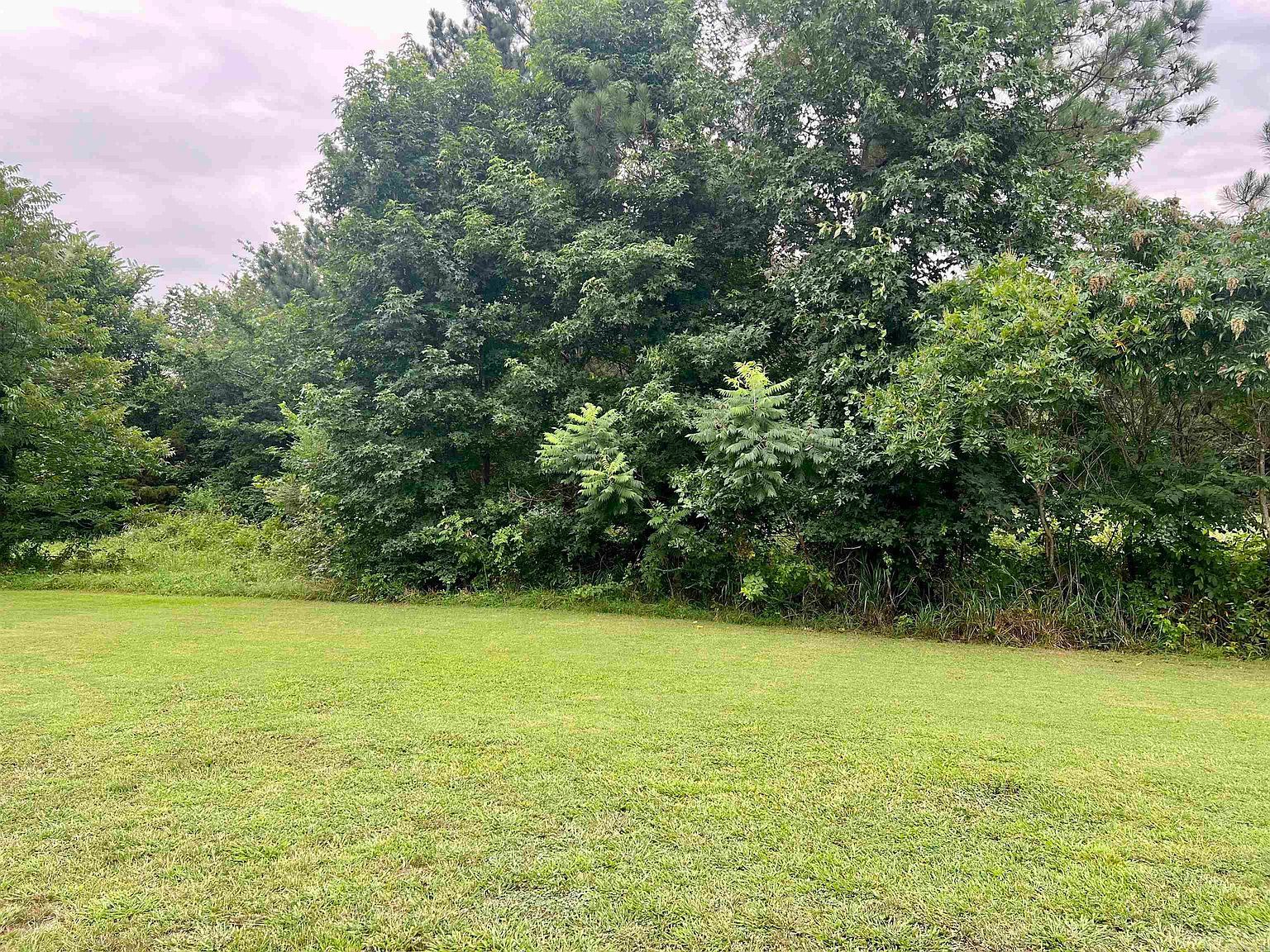 138 Mountain Side Dr Pangburn, AR 72121 - Thumbnail 4