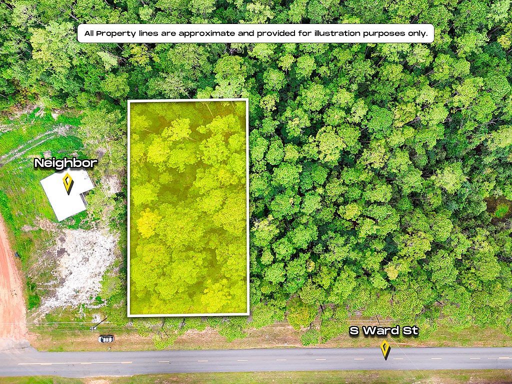 0 S Ward St Geneva, AL 36340 - Thumbnail 4