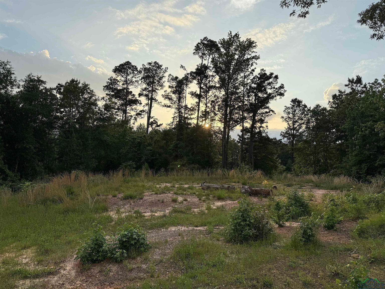 111 Private Road 1122 Gilmer, TX 75645 - Thumbnail 4