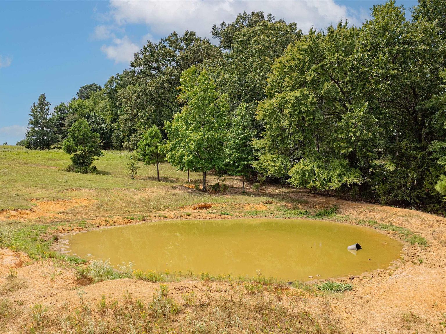 Tbd Fm 726 Diana, TX 75640 - Thumbnail 4