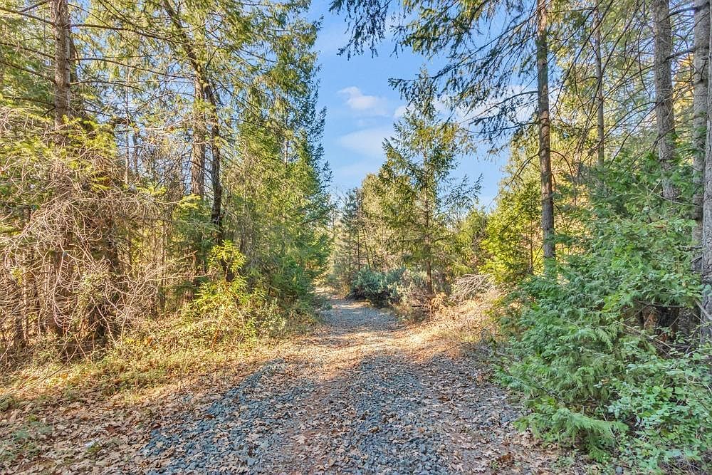 21235 Spring Garden Rd, Foresthill, CA, 95631 - Thumbnail 4