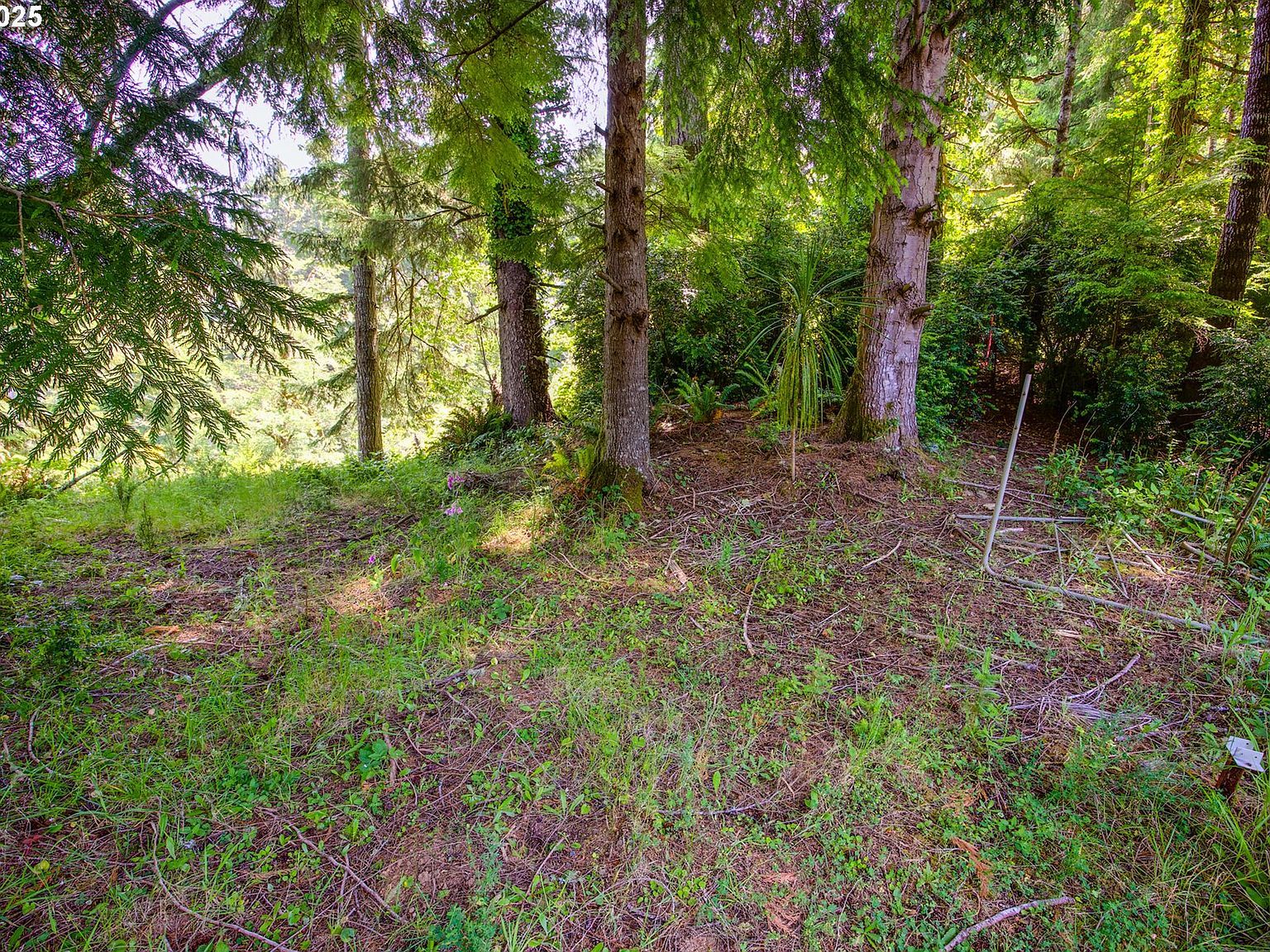 620 Hilltop Dr #1107 Lakeside, OR 97449 - Thumbnail 4