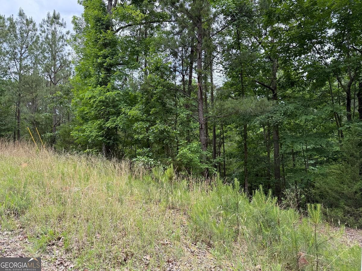 LOT 51 Bramlett Dr Elberton, GA 30635 - Thumbnail 4