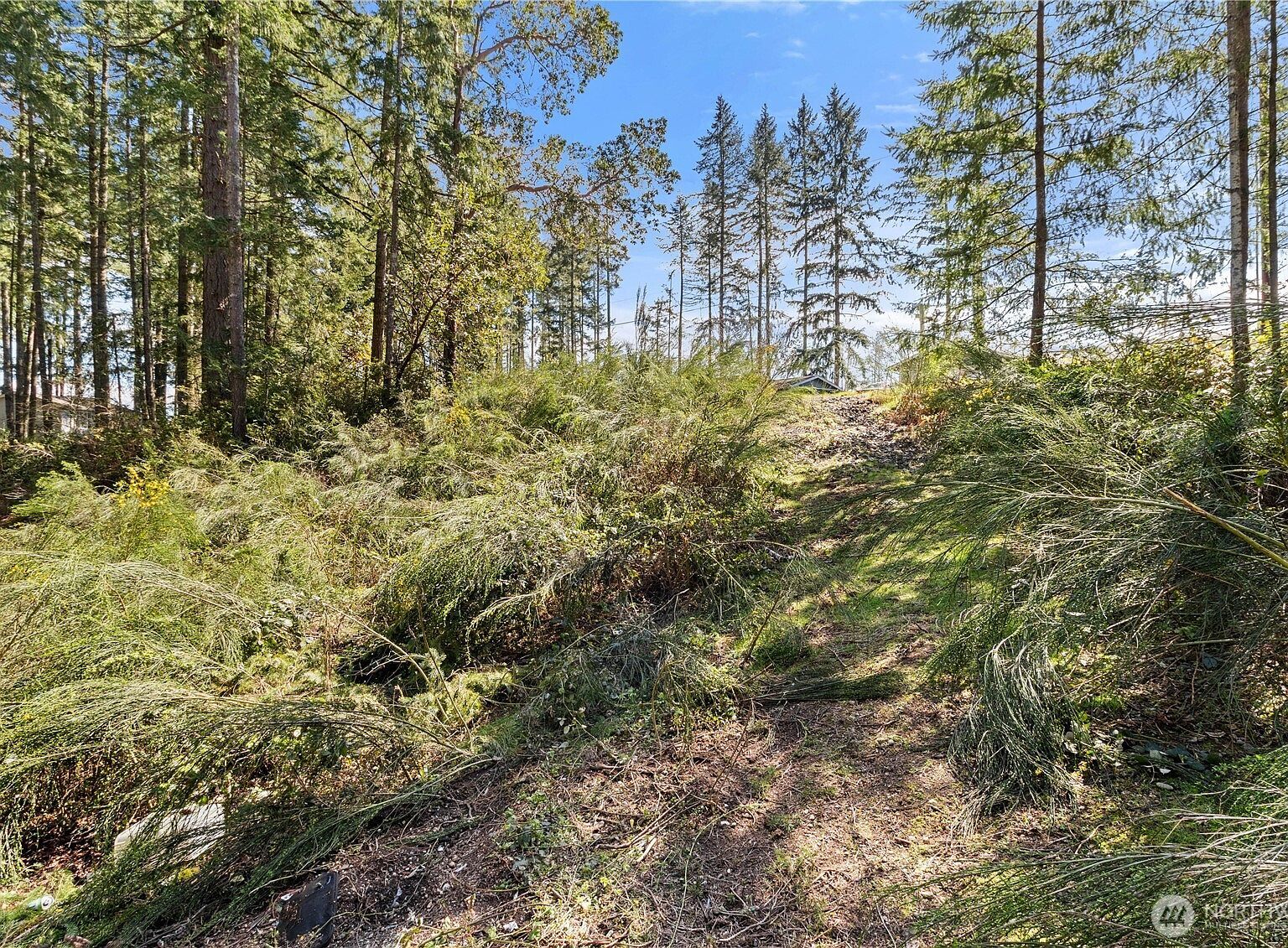 19025 23rd St SW Lakebay, WA 98349 - Thumbnail 4