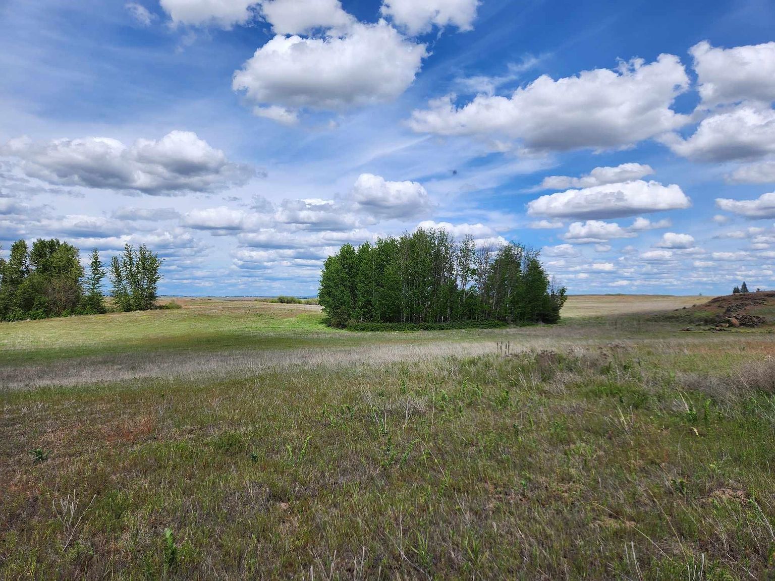 26210 W Hallett Rd Medical Lake, WA 99022 - Thumbnail 4