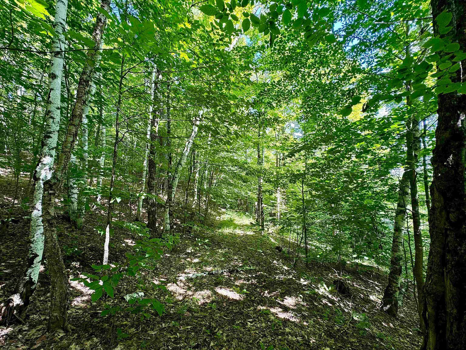 0 Crosby Rd Topsham, VT 05076 - Thumbnail 4