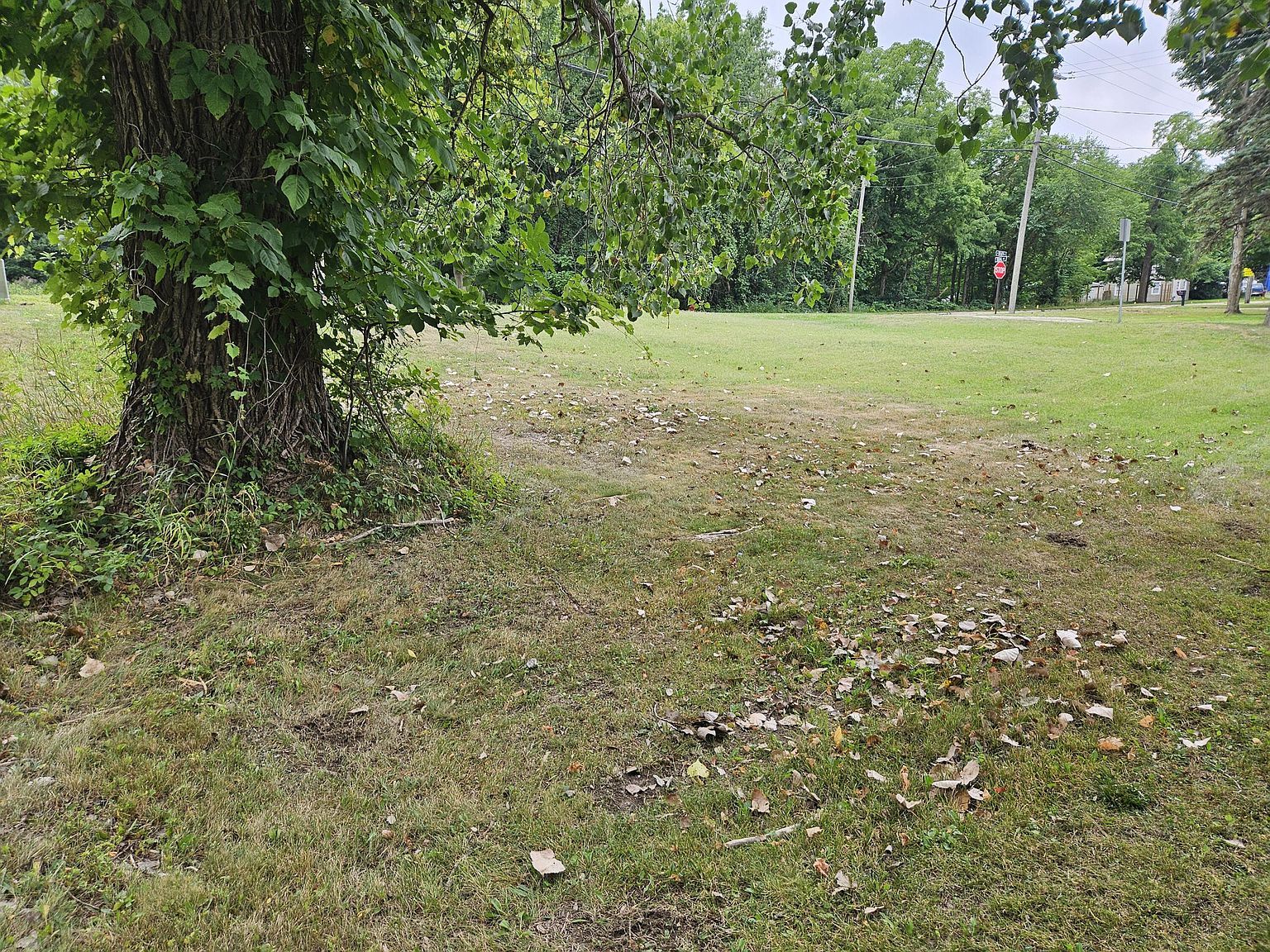 104 Ida St Allegan, MI 49010 - Thumbnail 4