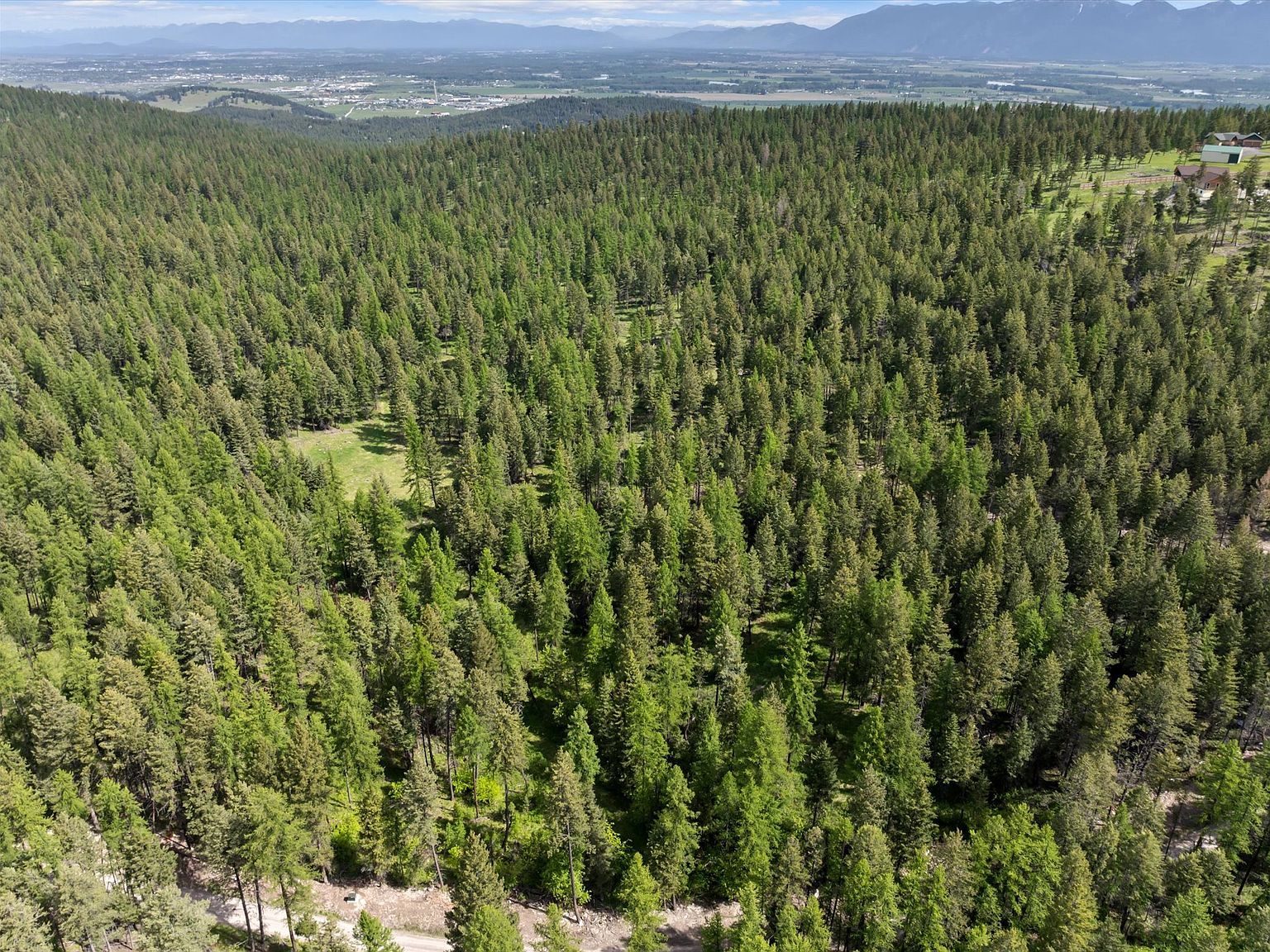 439 Buffalo Trl Somers, MT 59932 - Thumbnail 4