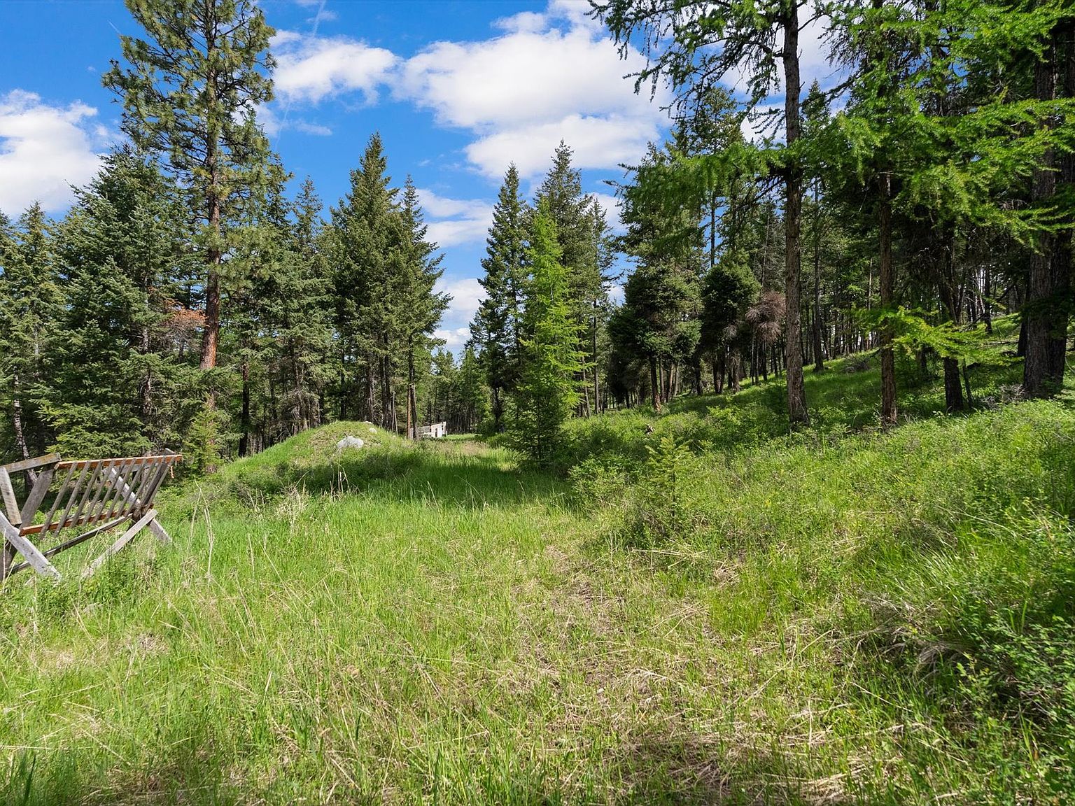 437 Buffalo Trl Somers, MT 59932 - Thumbnail 4