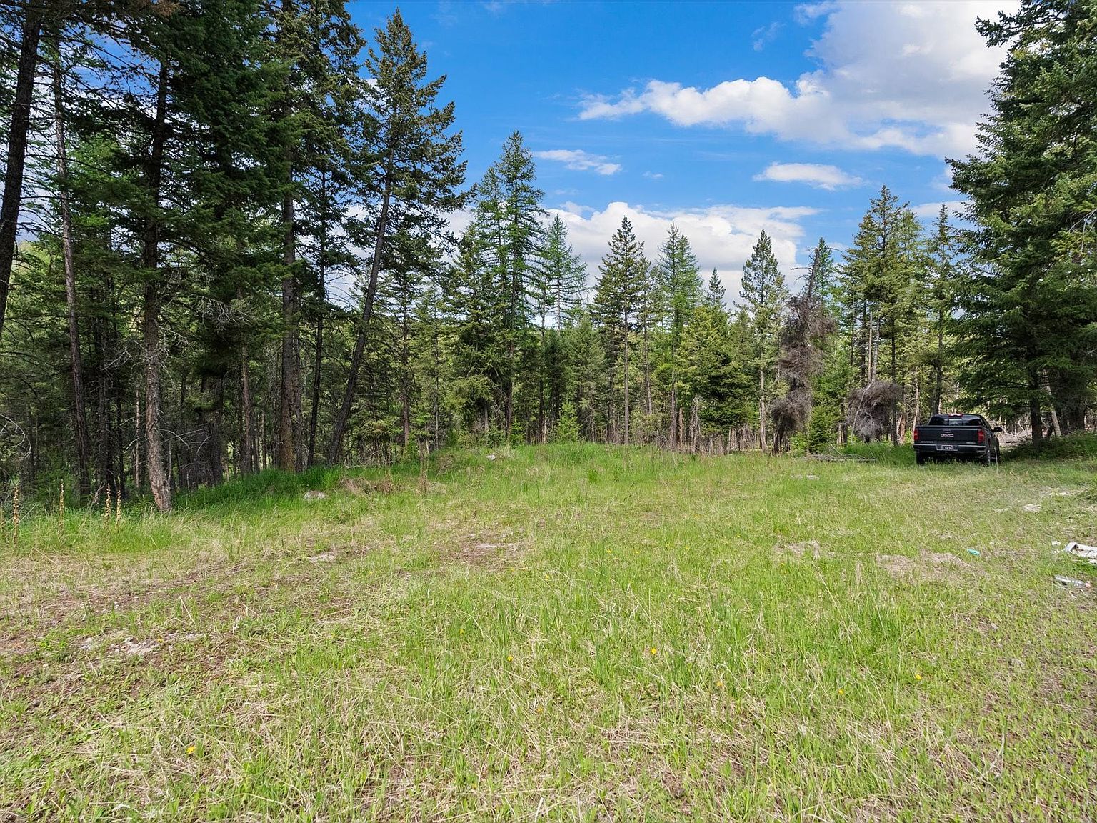 433 Buffalo Trl Somers, MT 59932 - Thumbnail 4