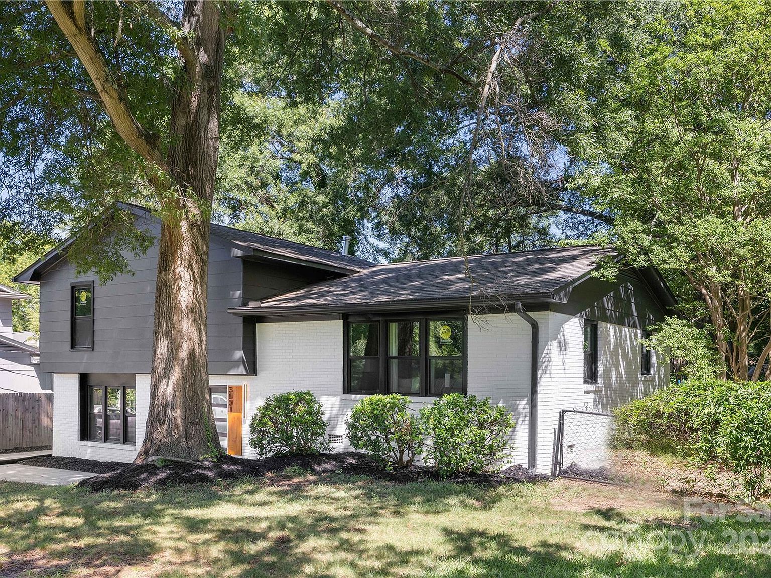 3801 Woodleaf Rd Charlotte, NC 28205 - Thumbnail 4