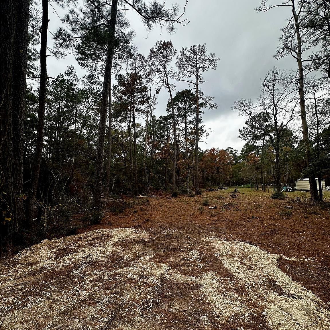 15172 Cherry Laurel Ln Navasota, TX 77868 - Thumbnail 4