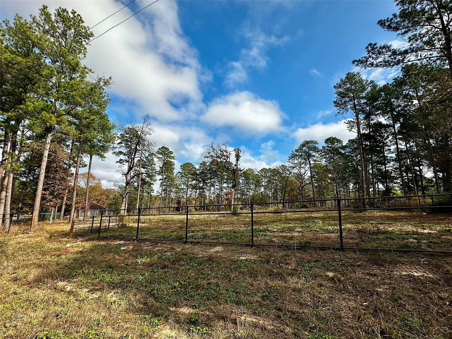 15238 Crape Myrtle Ln Navasota, TX 77868 - Thumbnail 4