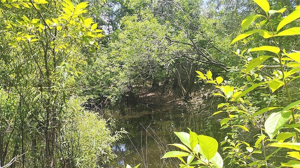 0 Cyril Dr #14 Dade City, FL 33523 - Thumbnail 4