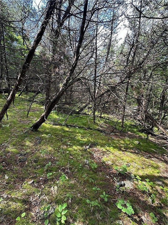 20 Lakeview Ln #25 Eureka Springs, AR 72631 - Thumbnail 4