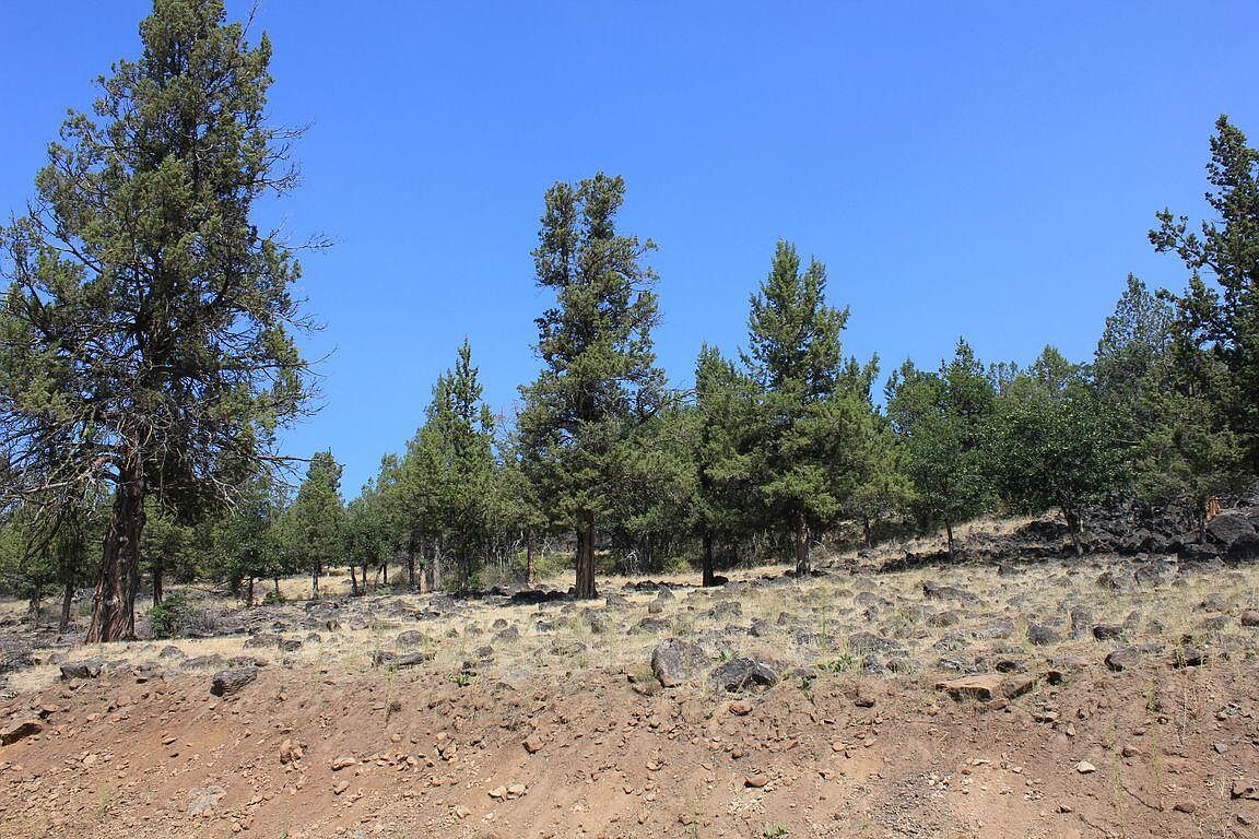 Willet Way LOT 933 Klamath Falls, OR 97601 - Thumbnail 4