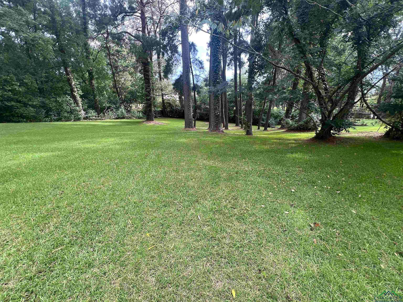 105 Watlington St Center, TX 75935 - Thumbnail 4