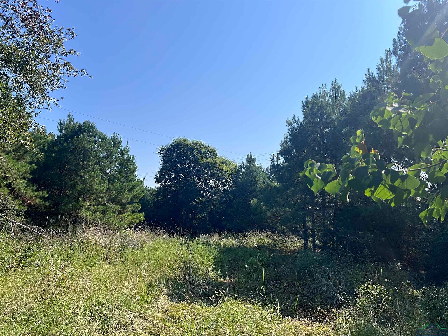 4127 Fm 139 Joaquin, TX 75954 - Thumbnail 4