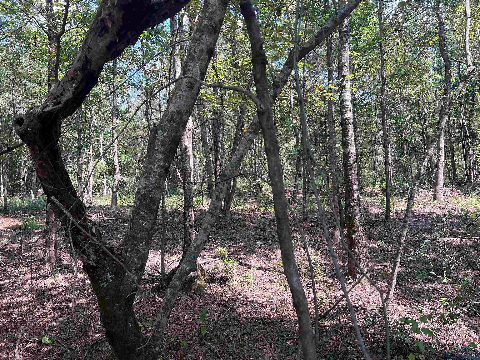 County Road 476 S Henderson, TX 75654 - Thumbnail 4