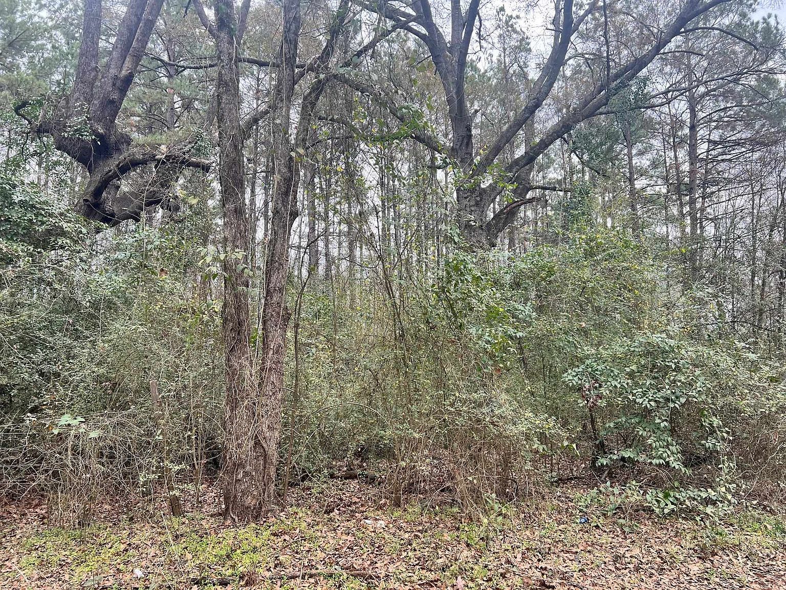 606 County Road 3140 Center, TX 75935 - Thumbnail 4