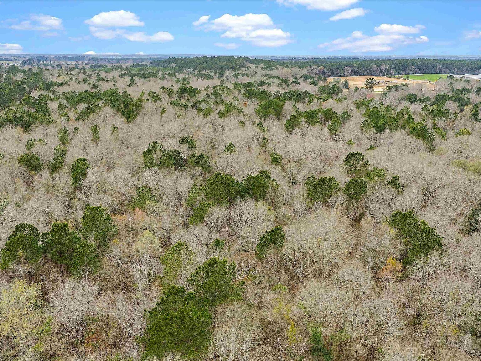 Saint Hwy #147 Center, TX 75935 - Thumbnail 4