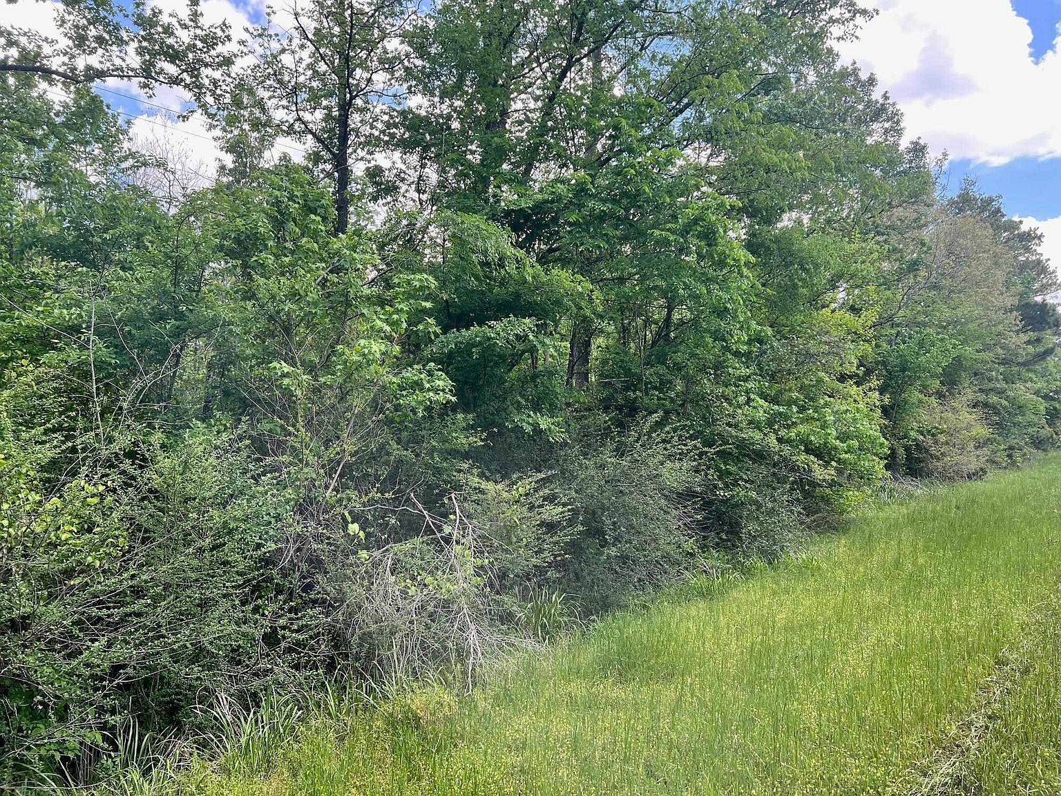 N Highway 87 N Center, TX 75935 - Thumbnail 4