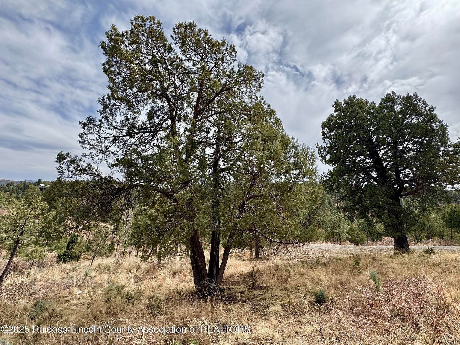107 Abbey Pl Ruidoso, NM 88345 - Thumbnail 4