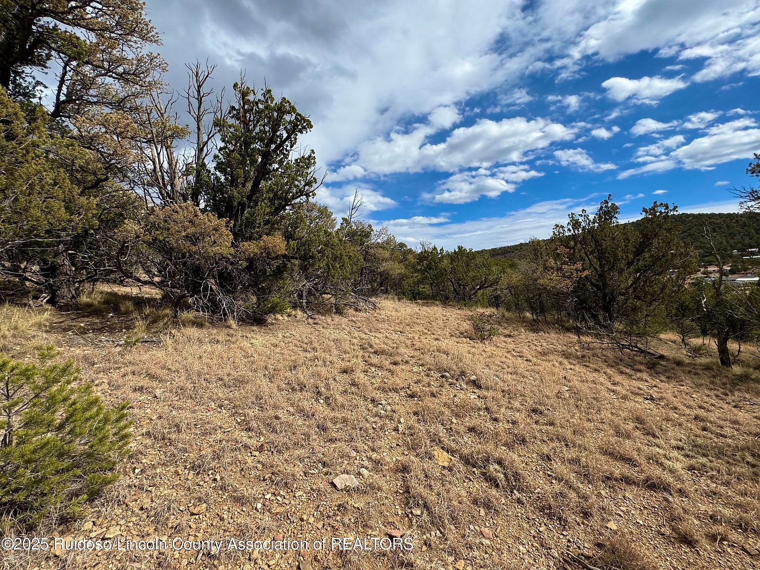 1146 Shoshone Trl Alto, NM 88312 - Thumbnail 4