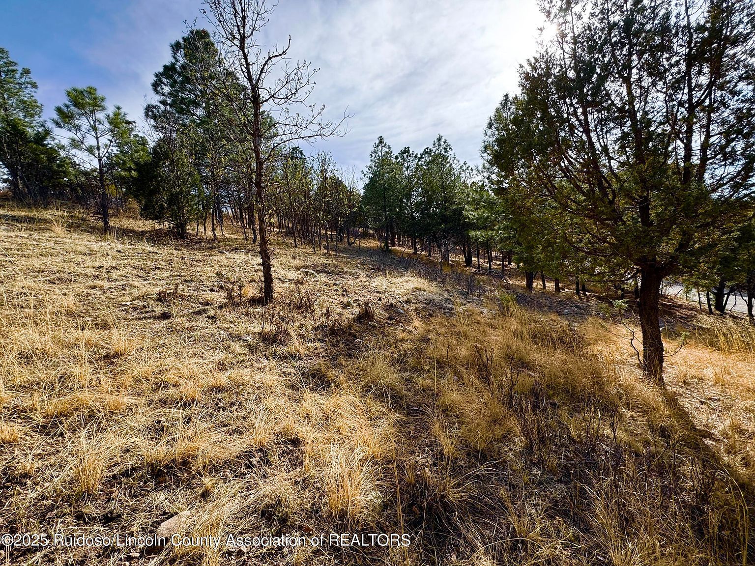 44 Sawmill Canyon Rd Alto, NM 88312 - Thumbnail 4