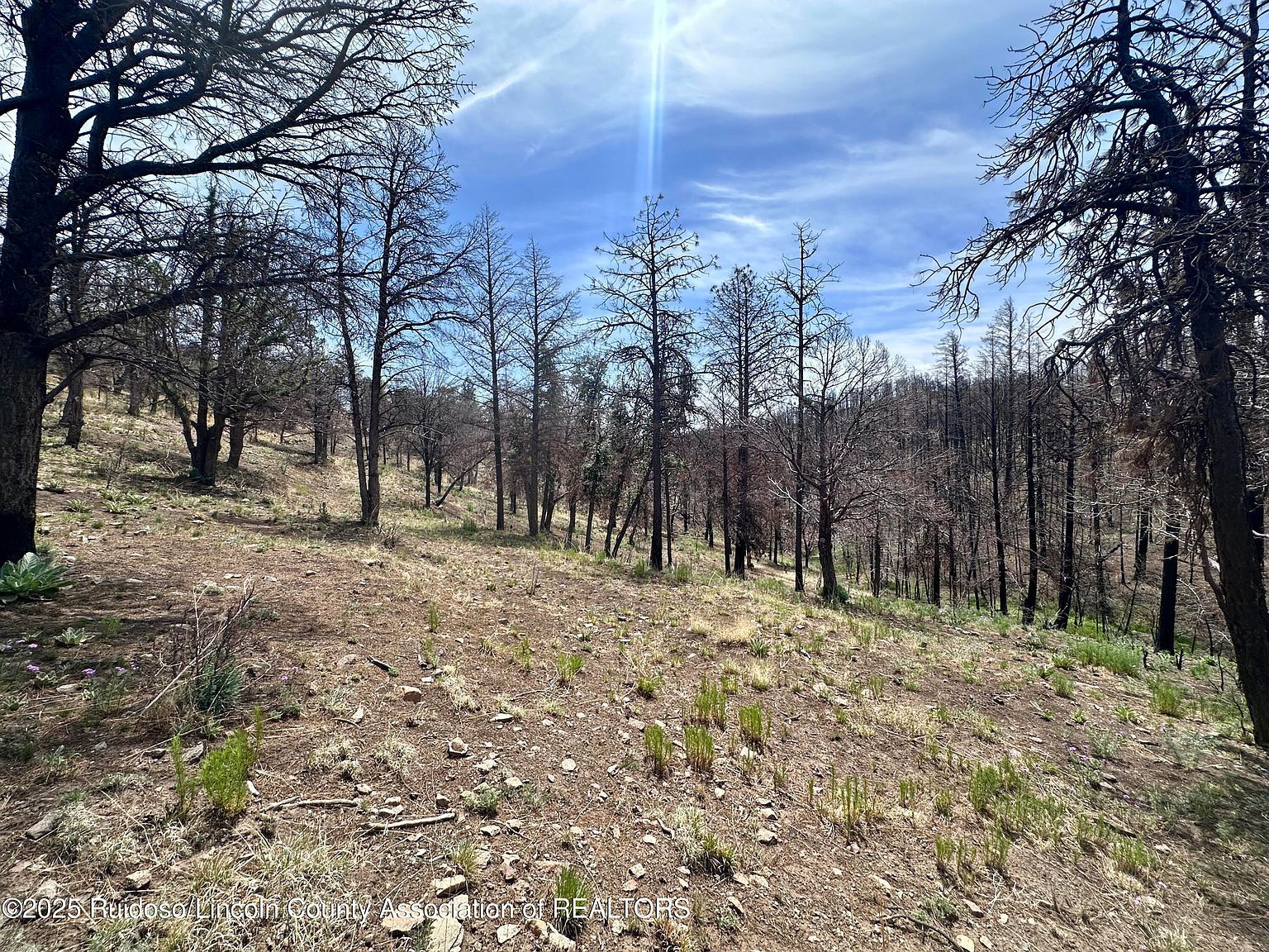 10 Alpine Village Rd Ruidoso, NM 88345 - Thumbnail 4