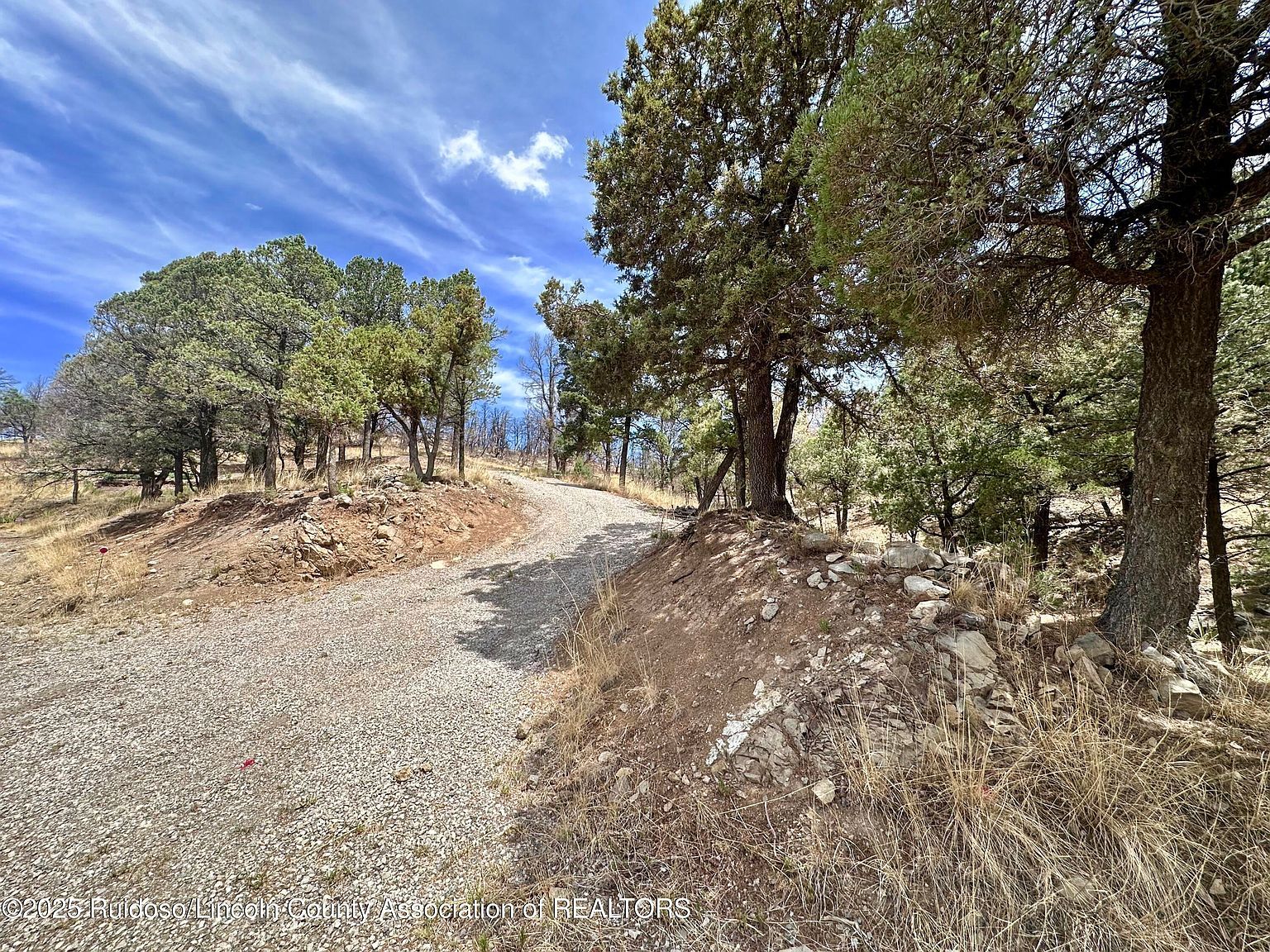 LOT 8A Alpine Village Rd Ruidoso, NM 88345 - Thumbnail 4
