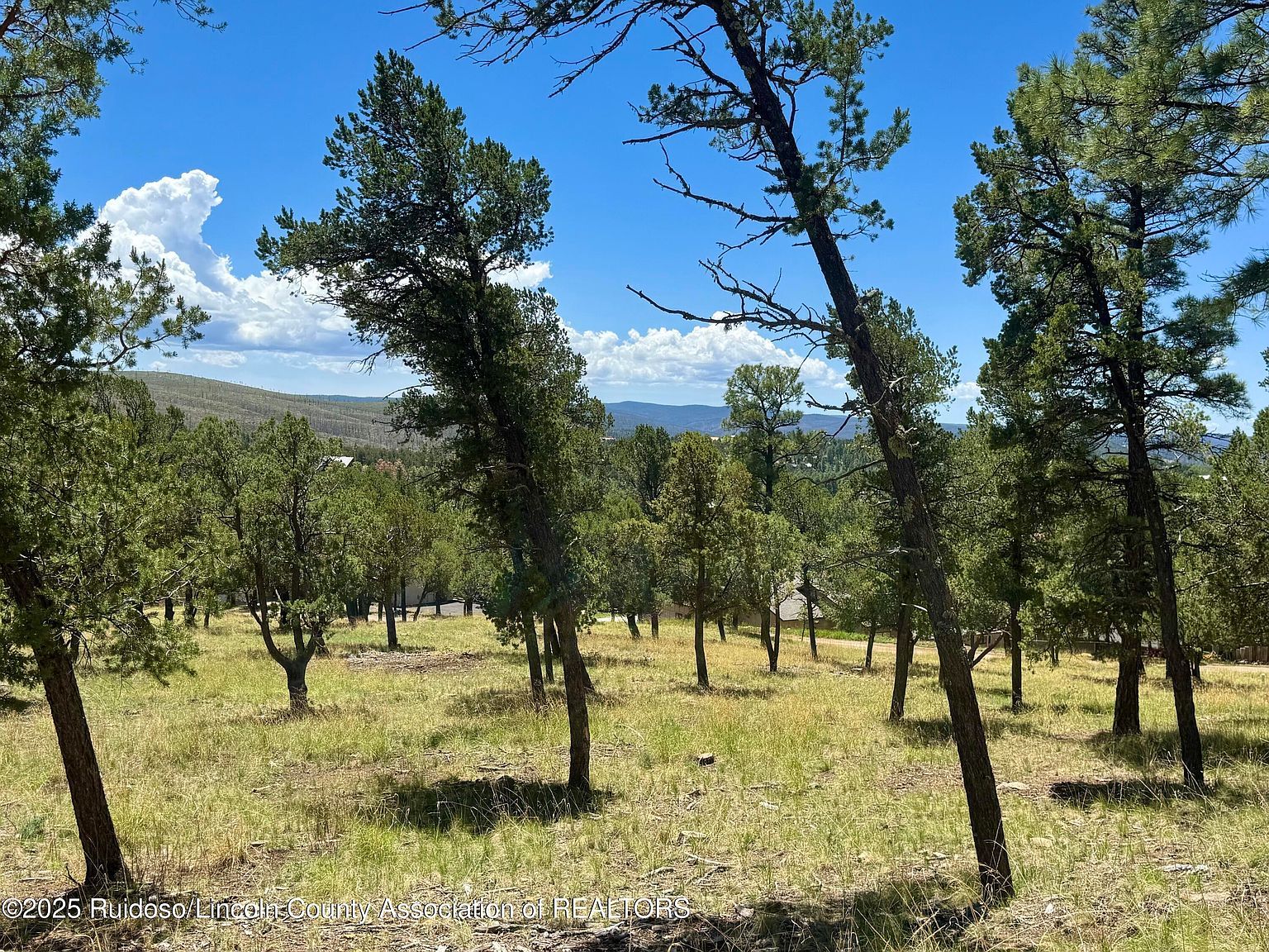 111 Topside Dr Ruidoso, NM 88345 - Thumbnail 4