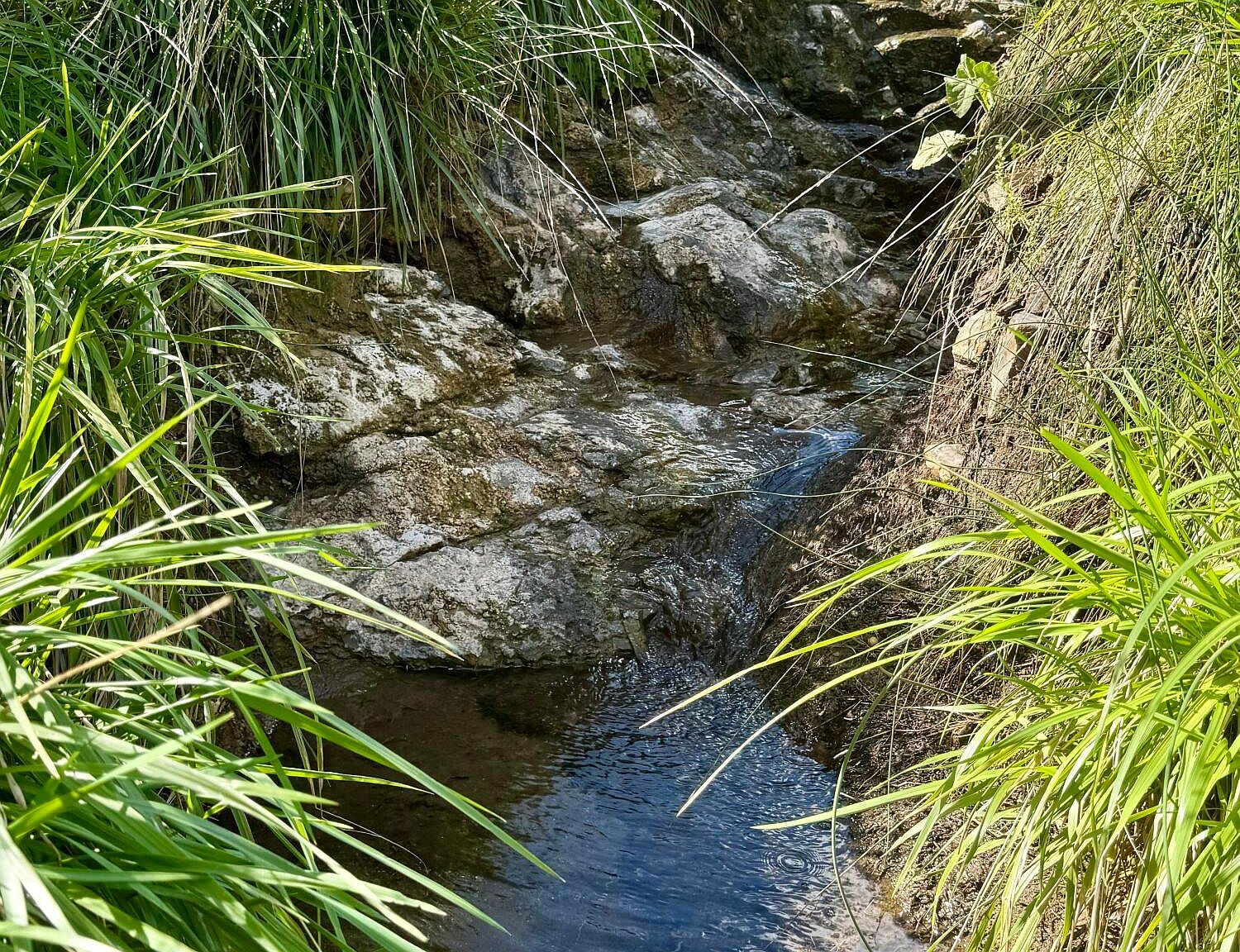 111 Gila Pl Ruidoso, NM 88345 - Thumbnail 4