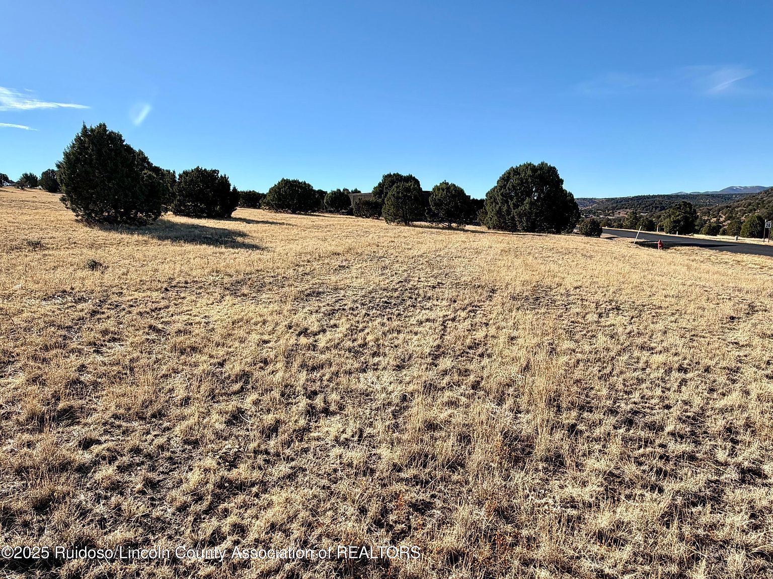 111 Rainmakers Dr Alto, NM 88312 - Thumbnail 4