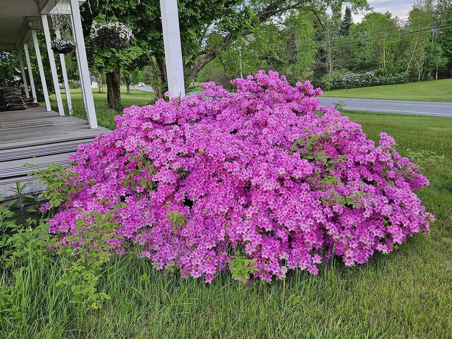 6680 Route 5 S Newbury, VT 05051 - Thumbnail 4