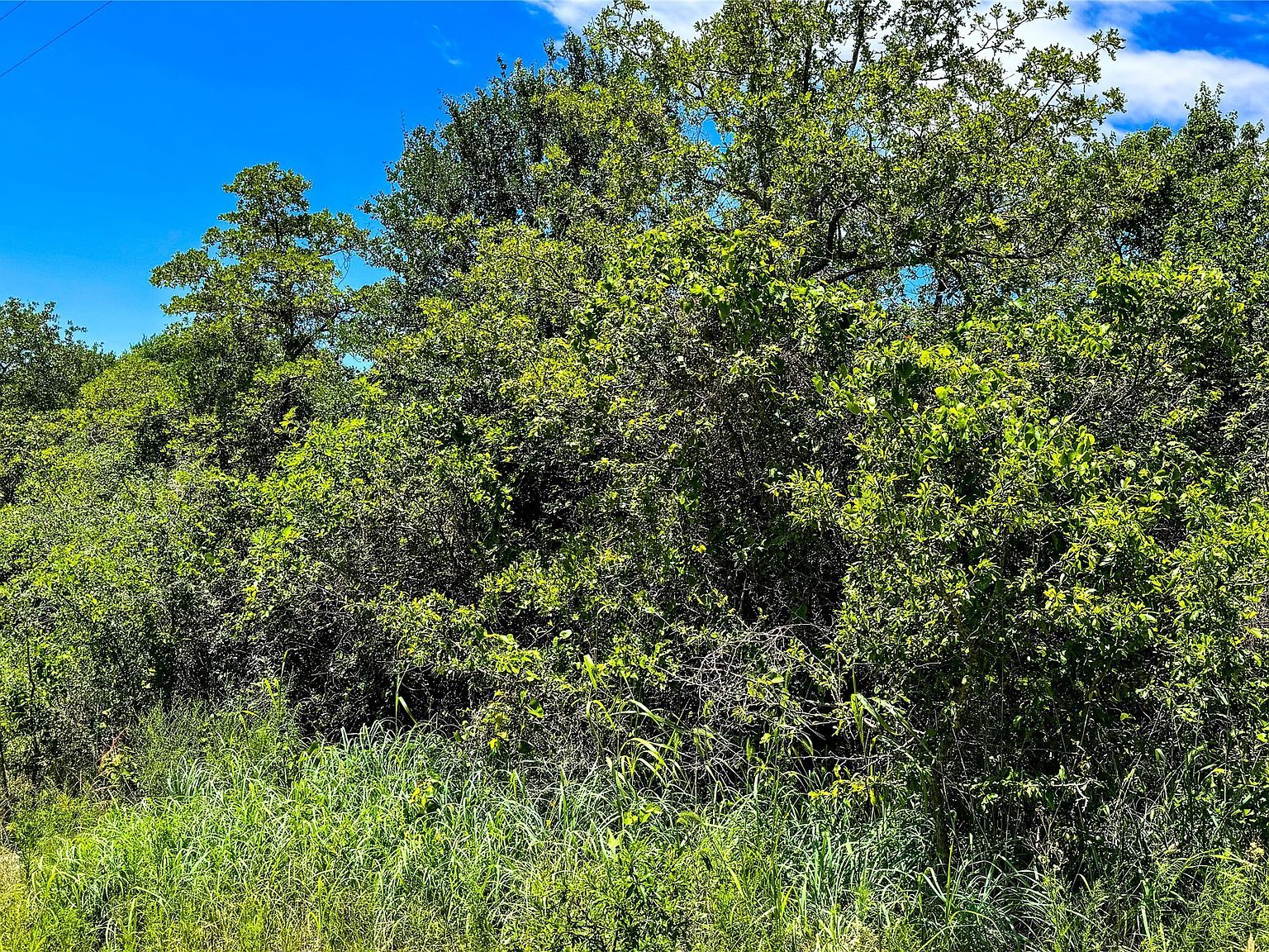 143 Briarwood Trl Nocona, TX 76255 - Thumbnail 4