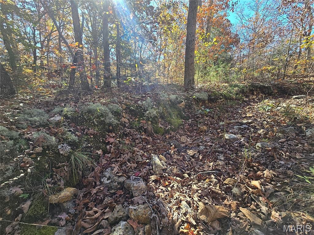 107 Railroad Ln Doe Run, MO 63637 - Thumbnail 4