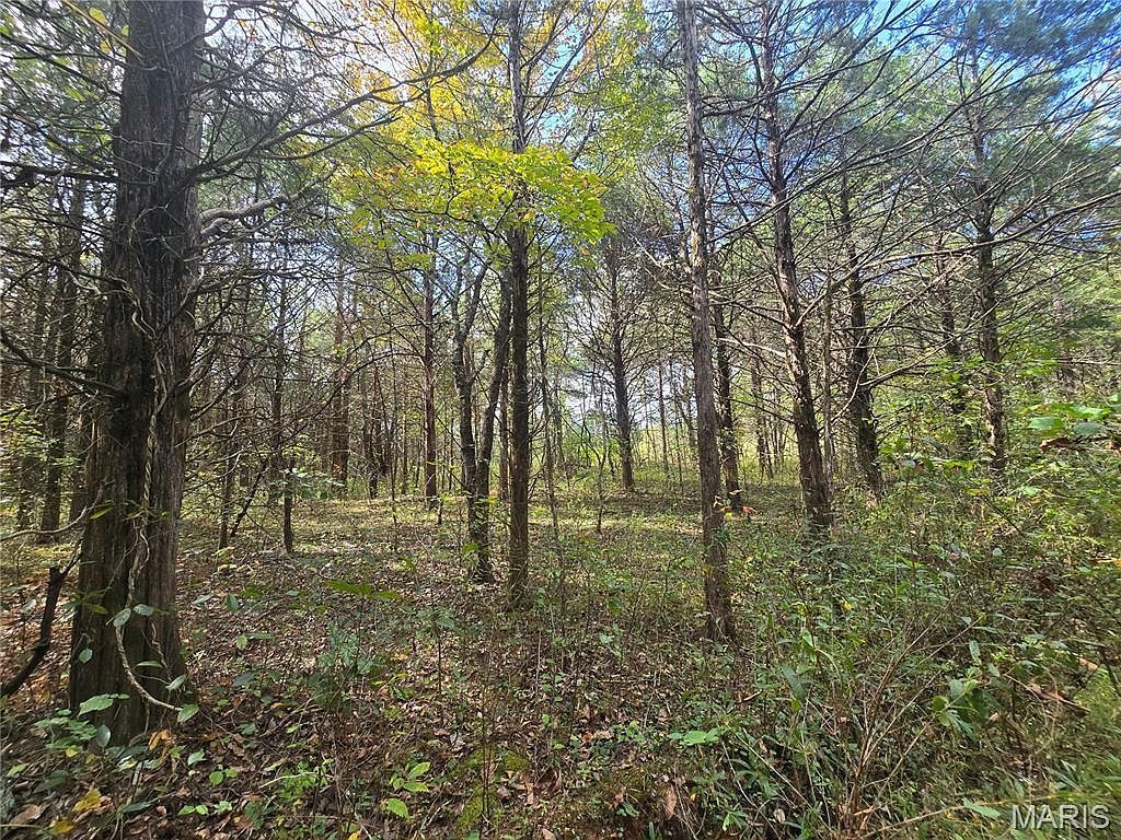 30 Acres Hwy E Cadet, MO 63630 - Thumbnail 4