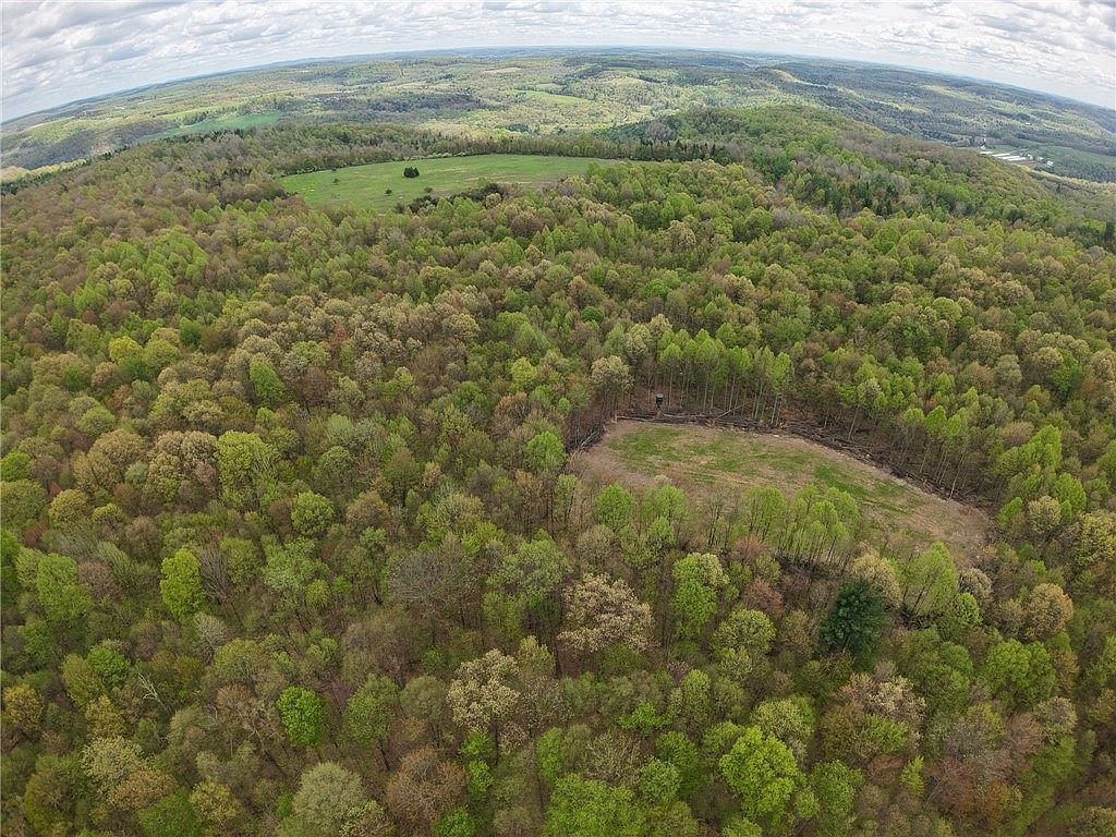 0 Lower Mudlic Rd Mayport, PA 16240 - Thumbnail 4