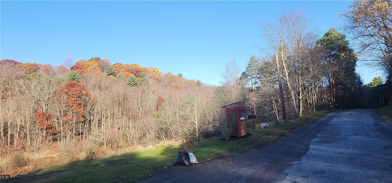 0 Reed Rd Mayport, PA 16240 - Thumbnail 4