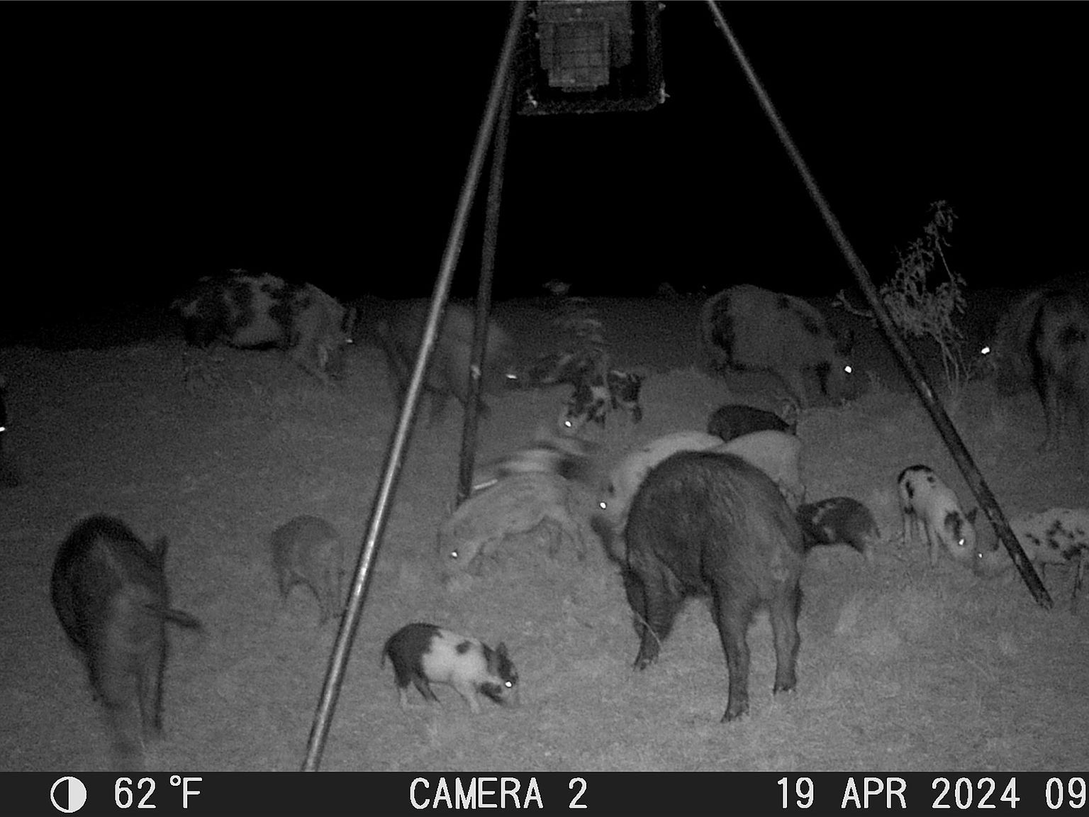 Tbd Cres #119 Brownwood, TX 76801  | Land/Lot