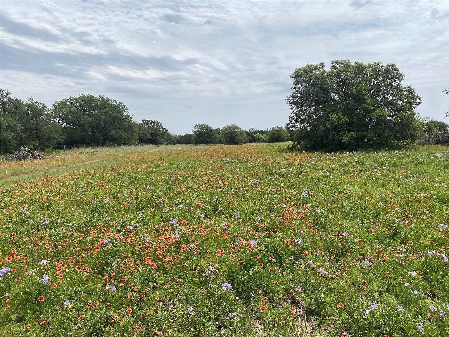 636 Private Road 4691 Baird, TX 79504 | Single Family