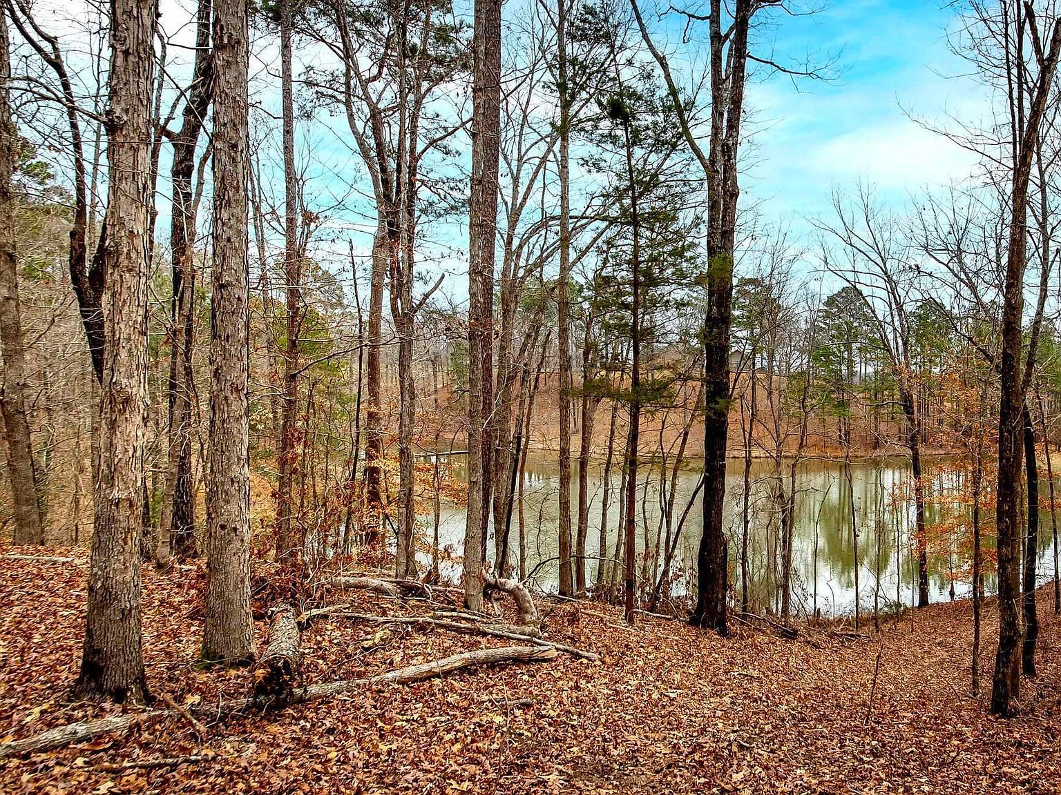136 Private Rd Fouke, AR 71837 | Land/Lot