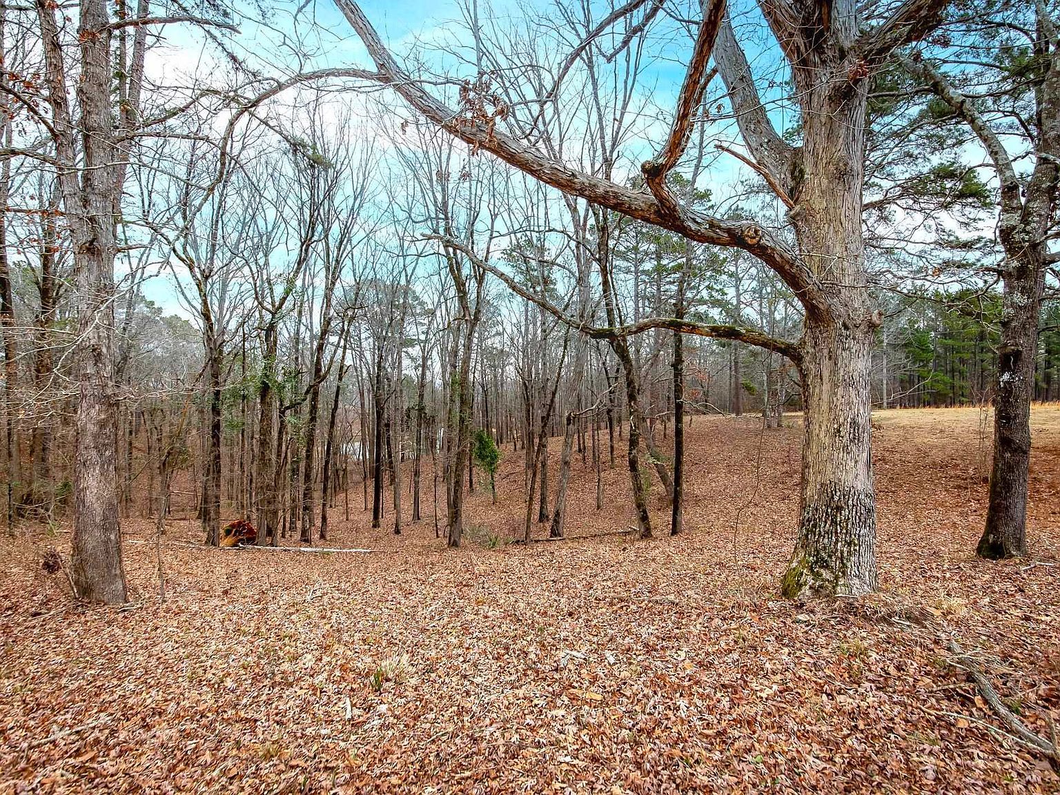 136 Private Road 1094 Fouke, AR 71837  | Land/Lot