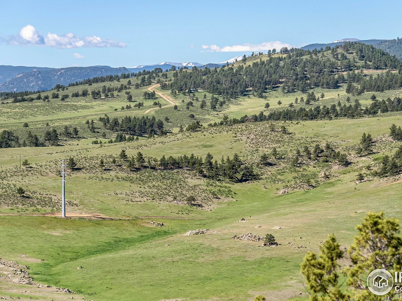 291 Newell Dr Loveland, CO 80537  | Single Family