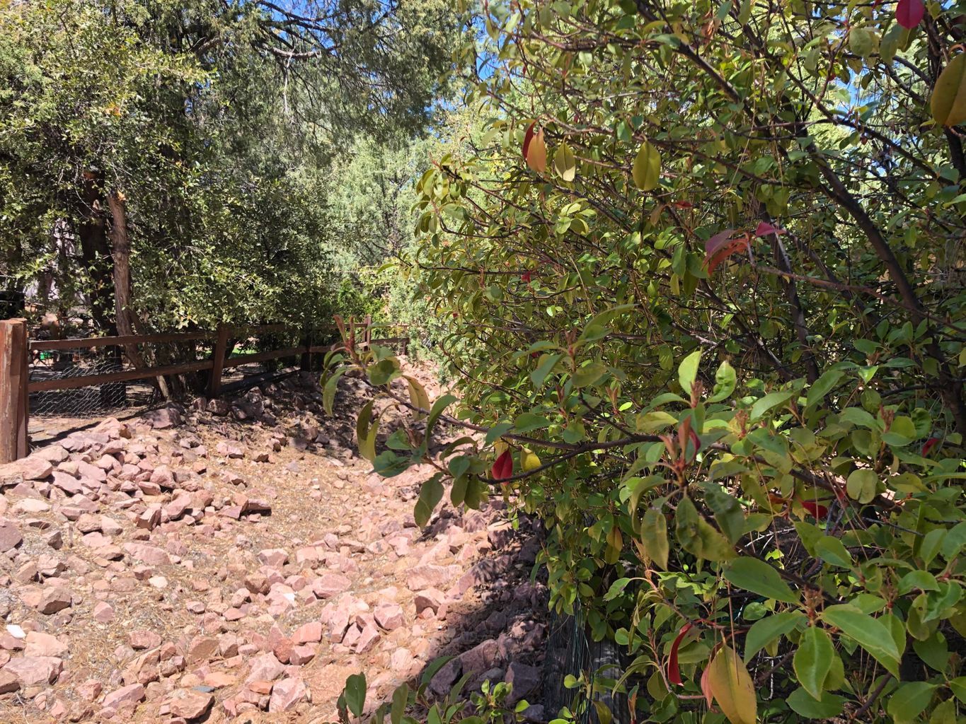 504 N Oak Ridge Road, Payson, AZ 85541  | Single Family