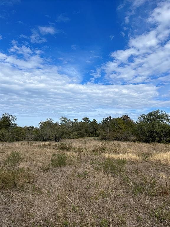 63 Hadley Creek Bnd Huntsville, TX 77320  | Single Family