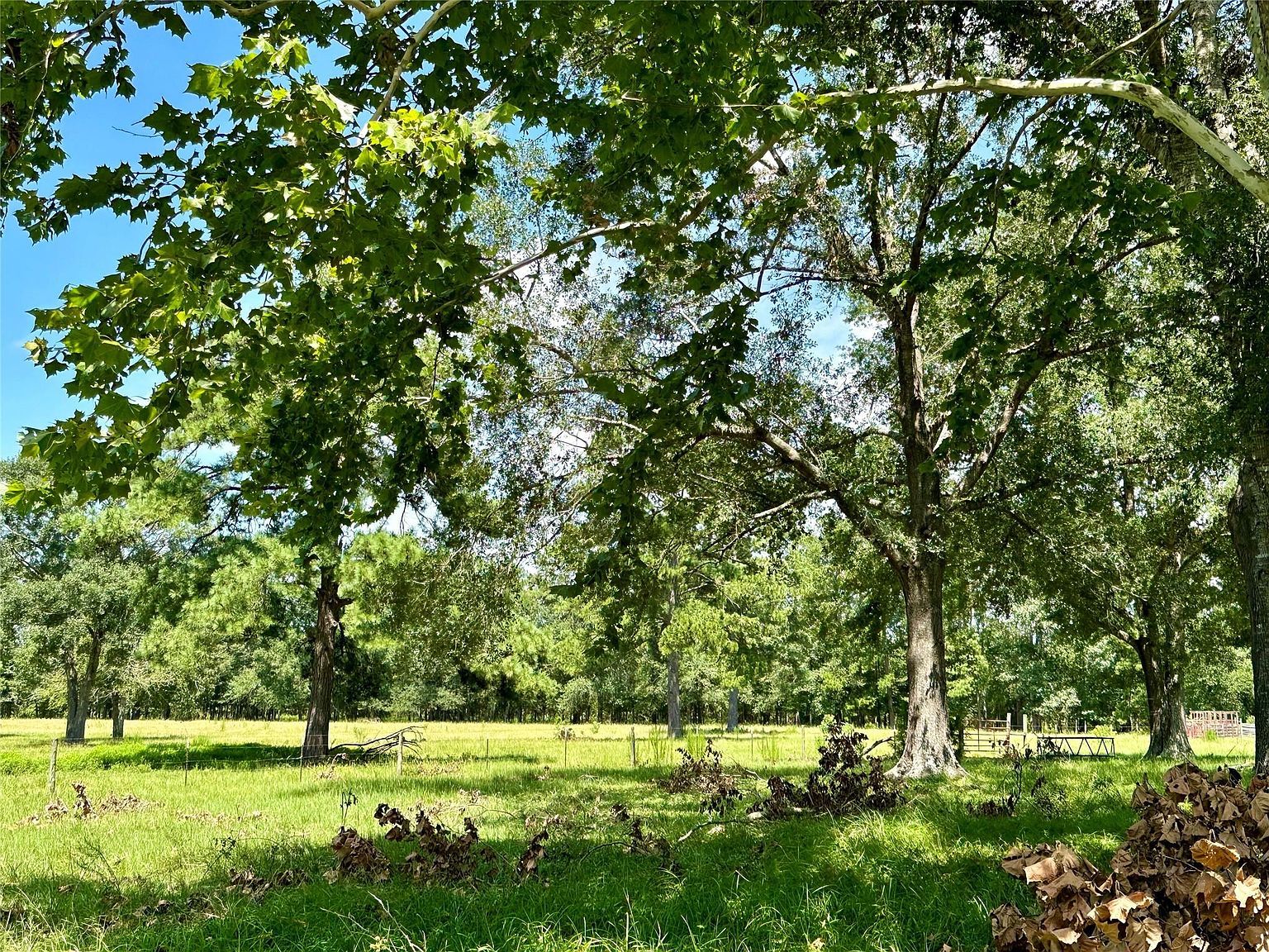 1080 Andrew Jackson Dr Livingston, TX 77351  | Land/Lot
