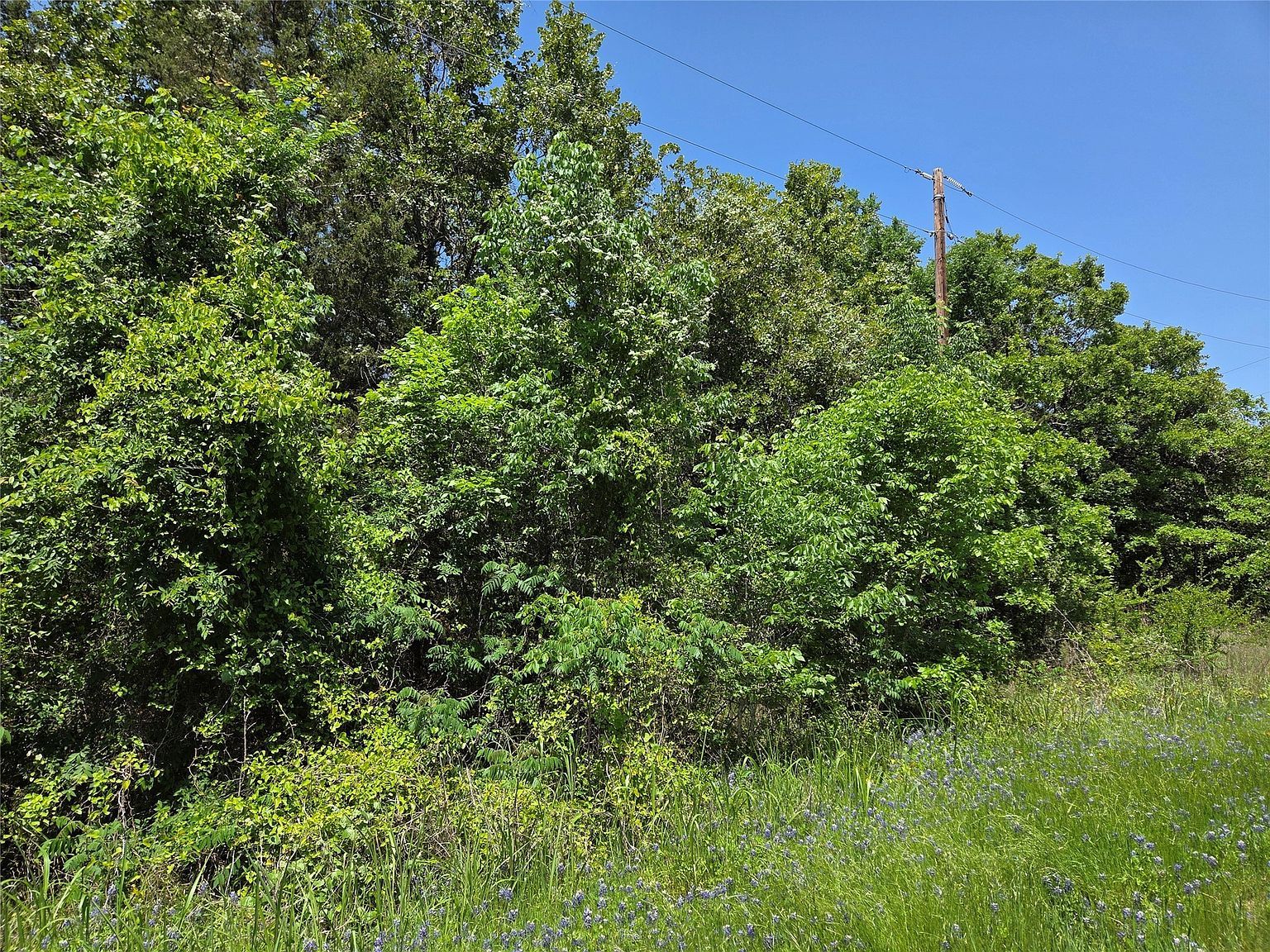 LOT 10 SE County Road 3258 Kerens, TX 75144  | Land/Lot