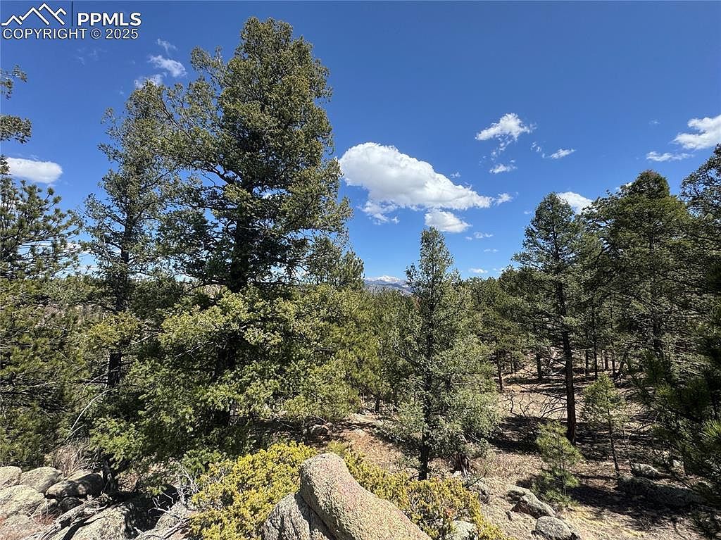487 Pike View Ln Florissant, CO 80816 | Land/Lot